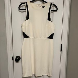Express bodycon dress
